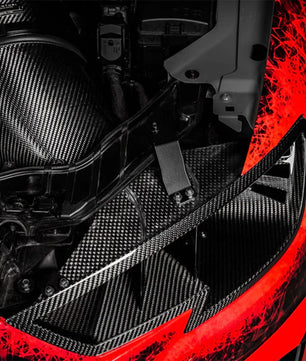 Eventuri Audi RS3 8V Gen 2 (2017-2020) Carbon Fiber Headlight Duct